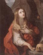 unknow artist The penitent magdalene oil painting on canvas
